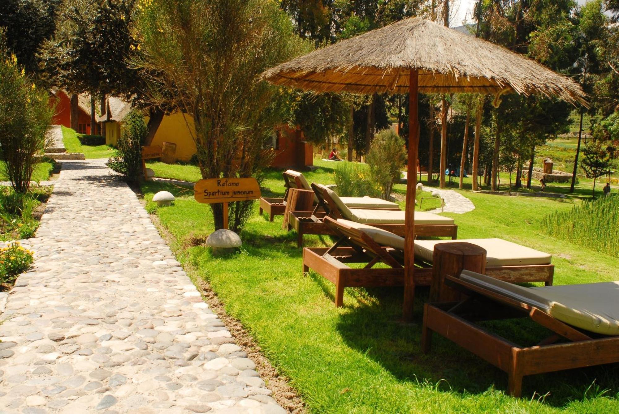 Colca Lodge Spa & Hot Springs Yanque Esterno foto