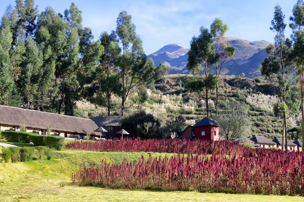 Colca Lodge Spa & Hot Springs Yanque Esterno foto