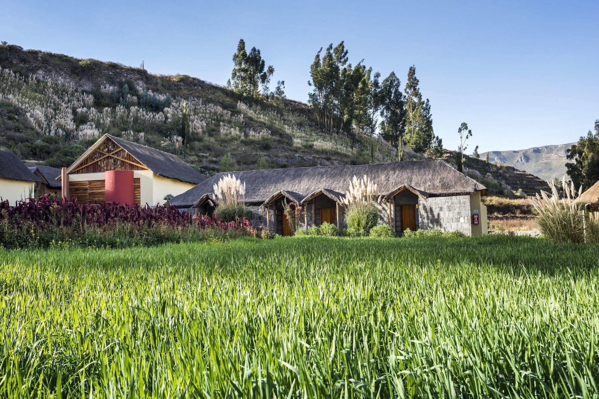 Colca Lodge Spa & Hot Springs Yanque Esterno foto