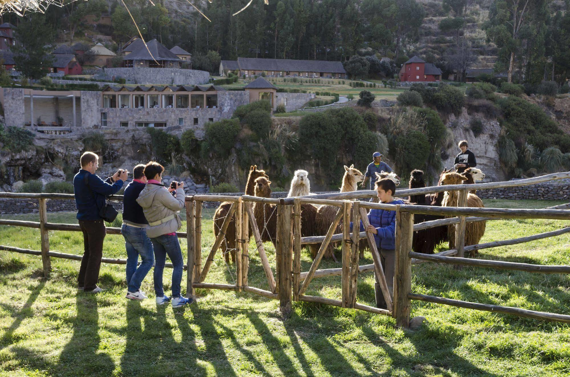 Colca Lodge Spa & Hot Springs Yanque Esterno foto